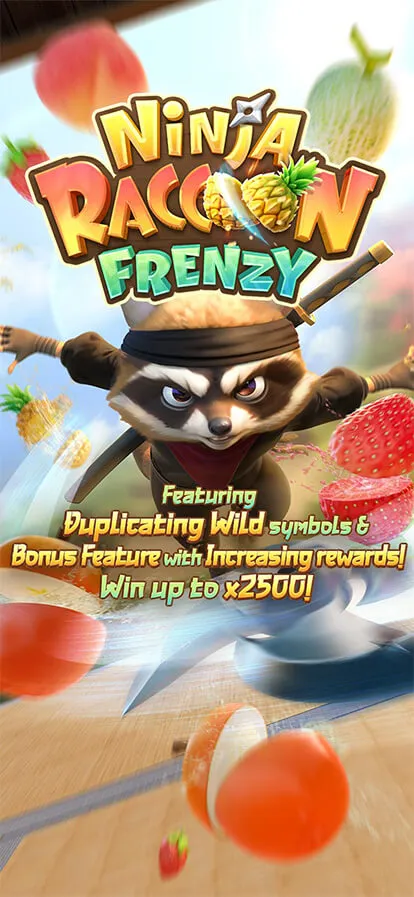 Ninja Raccoon Frenzy